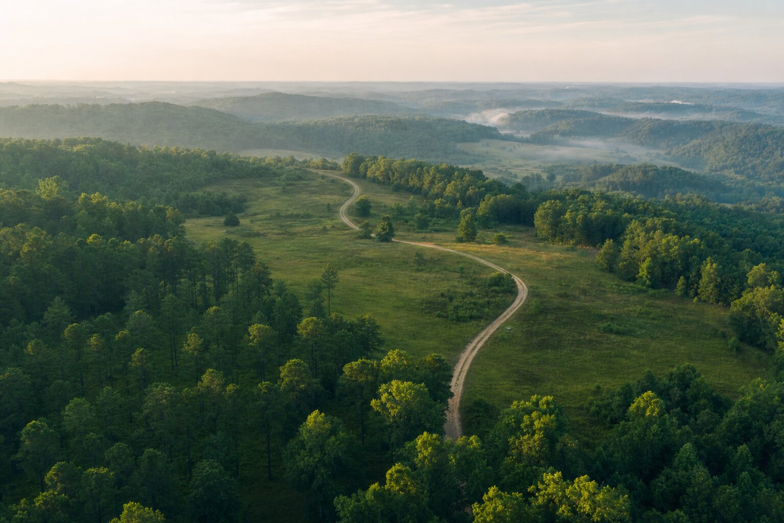 Rolling green rural land with pine forest and a winding dirt access road at first light